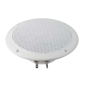 visaton-fr-13-wp-speaker