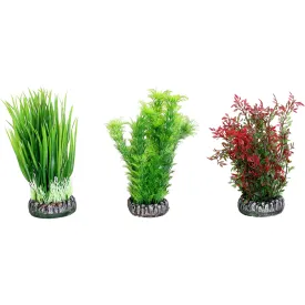 flamingo-sri-lanka-aquarium-decoration-assorted