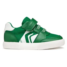 geox-baskets-gisli