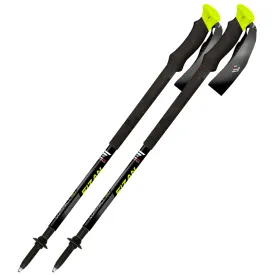 fizan-compact-pro-단장
