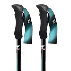 fizan-compact-tech-杖
