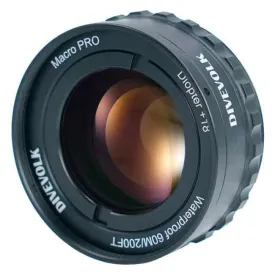 divevolk-macro--18-lins