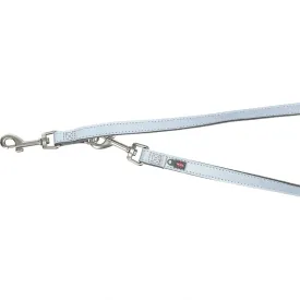 trixie-1199016-leash