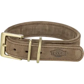 trixie-1884026-krage