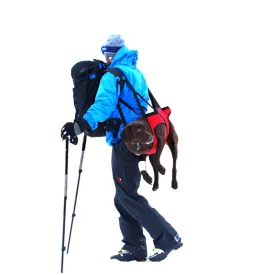 fido-pro-koiran-hatapelastusvaljaat