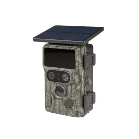 groupe-numaxes-pie1073-wildcamera