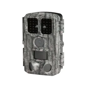 groupe-numaxes-pie1076-vildtkamera