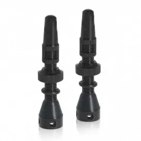 schwalbe-presta-tubeless-60-mm-valves-2-units