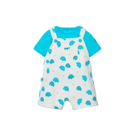 boboli-213028-set