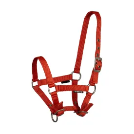 horka-basic-foal-riimu