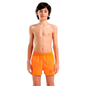 arena-beach-logo-r-uimashortsit
