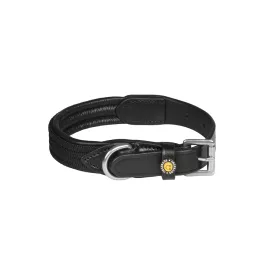 equestro-web-hundehalsband