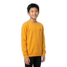 quiksilver-moletom-basic