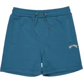 billabong-pantalons-curts-arch