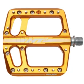 ht-components-pedais-raven-ans12