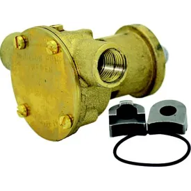 johnson-pump-f35b9-westerbeke-impellerpump