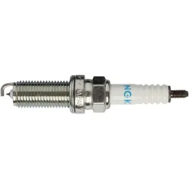 ngk-bugia-91086