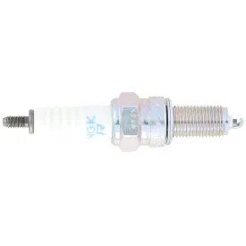 ngk-bugia-97251
