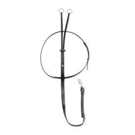 equestro-martingale-np-new