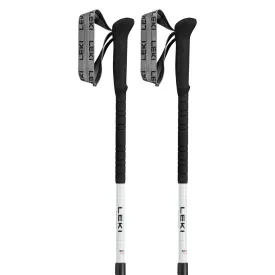 leki-skytera-carbon-lite-杖