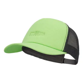 cmp-6505757-lippis