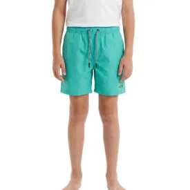 Newwood Basic Kurze Hose