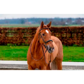 trust-equestrian-hickstead-hackamore-trense