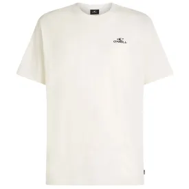oneill-small-logo-半袖tシャツ