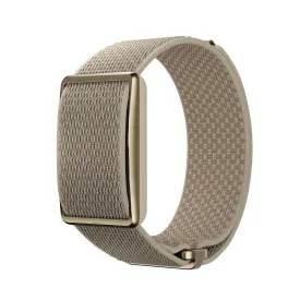 polar-loop-activity-band