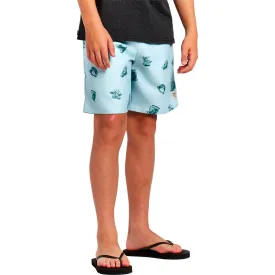 protest-hector-badeshorts