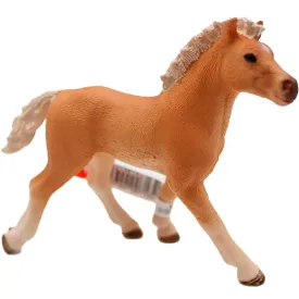 schleich-haflinger-colt-图形