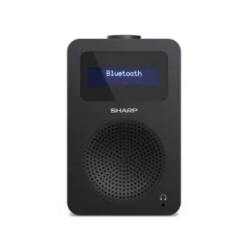 sharp-dr-430-tokyo-digitalradio