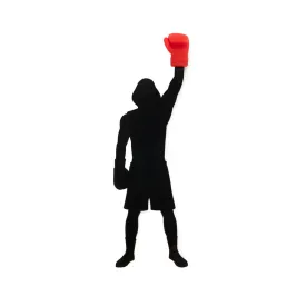 balvi-boxing-bladwijzer