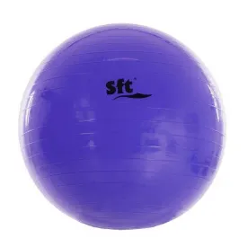 softee-55-cm-フィットボール