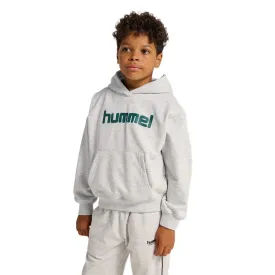 hummel-moletom-com-capuz-boxy-logo