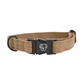 kentucky-lizard-dog-collar