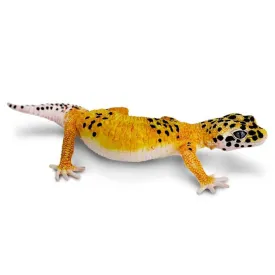 safari-ltd-leopard-gecko-图形