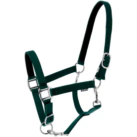 norton-equestrian-dream-grimmor