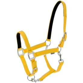 norton-equestrian-cabecada-dream