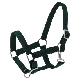 norton-equestrian-extra-riimu