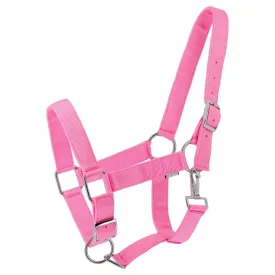 norton-equestrian-extra-grimmor