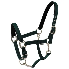 norton-equestrian-nacre-grimmor