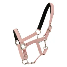 norton-equestrian-nacre-grimmor