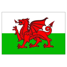 plastimo-wales-flag