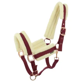 norton-equestrian-comfy-grimmor