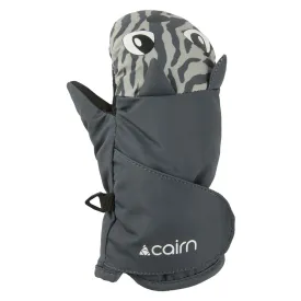 cairn-pico-vanter