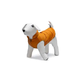 beeztees-wisti-개-재킷