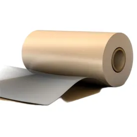 bikeshield-frame-protector-roll-9-m