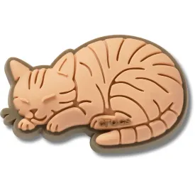 jibbitz-tabby-cat-销