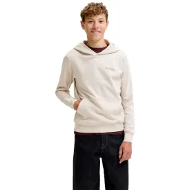 jack---jones-sudadera-con-capucha-archive-graphic